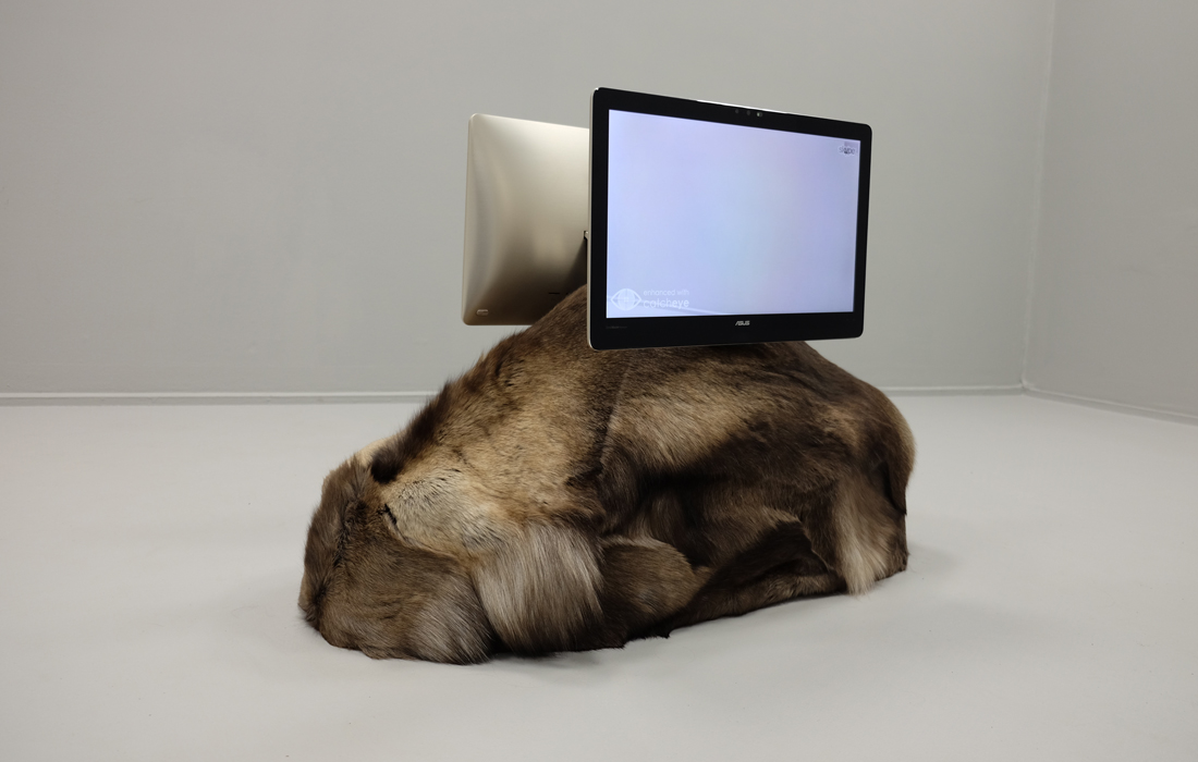 9-onco-mickey-catch(2016)_Natascha-Sadr-Haghighian